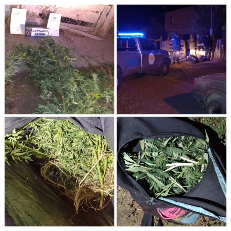Caminaba por la calle con marihuana y fue detenido