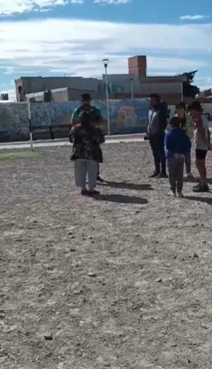 Robaron cables en una plaza, un perro se electrocutó y murió