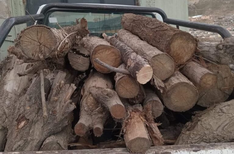 José Luis corta leña y se la entrega a las familias que no tienen gas