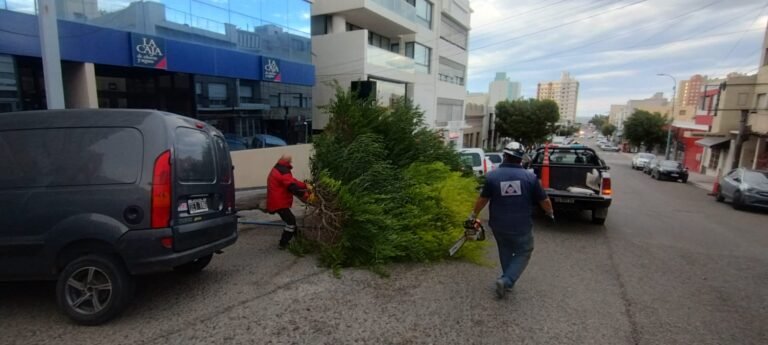 La ráfaga más fuerte fue de 115 km/h.: suspenden actividades de salud
