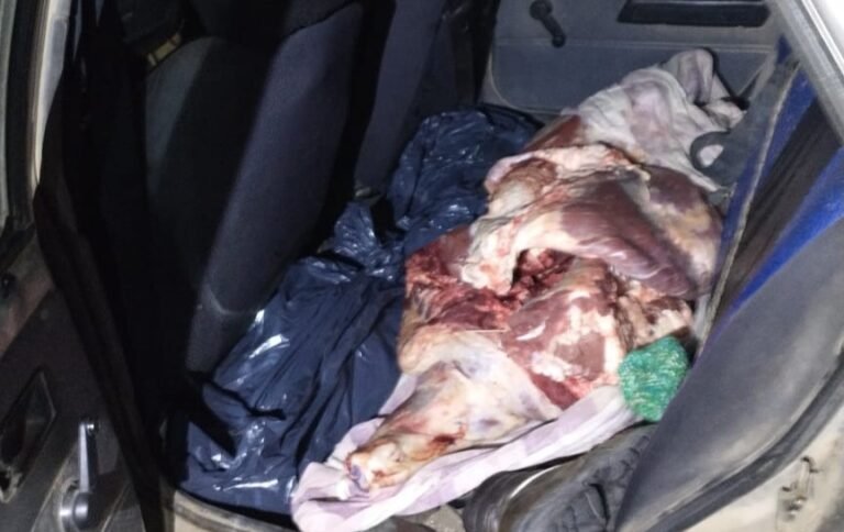 Lo pararon en un control policial y llevaba un animal faenado