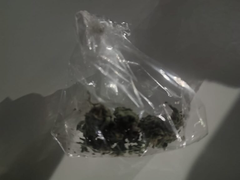 Demoraron a un joven que llevaba una caja metálica con drogas