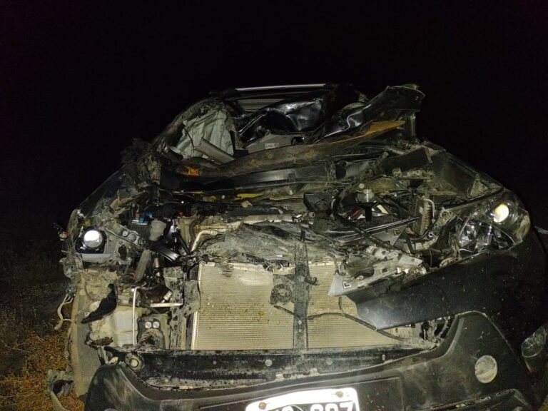 Iban por la Ruta 40 y chocaron contra dos caballos sueltos