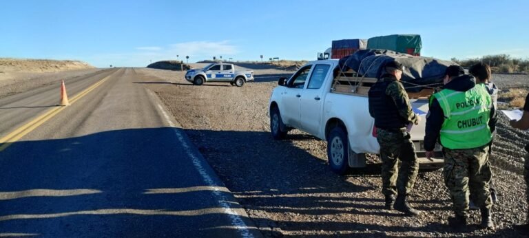Los interceptaron en la ruta y llevaban dos caprinos y un ovino en la camioneta