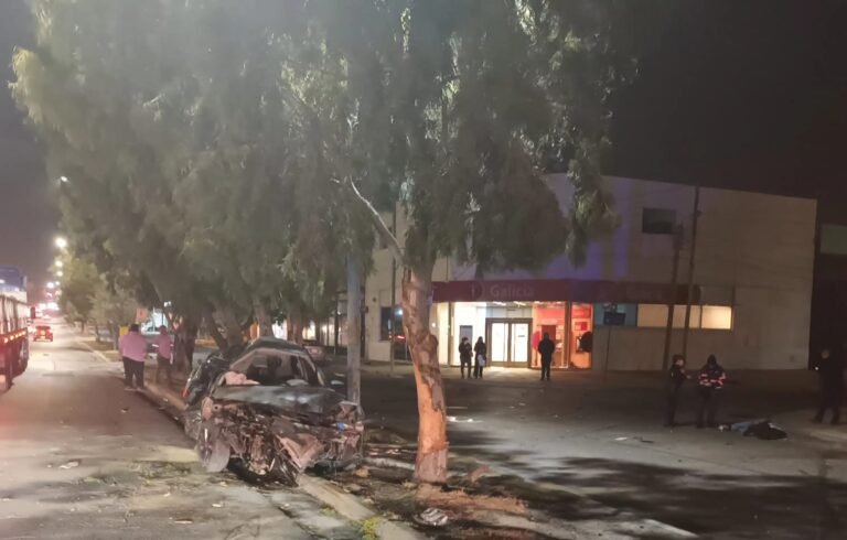 Chocó contra un poste de luz y salió despedido del auto