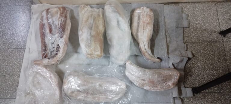 Llevaban 15 kilos de pescado congelado en el baúl del auto