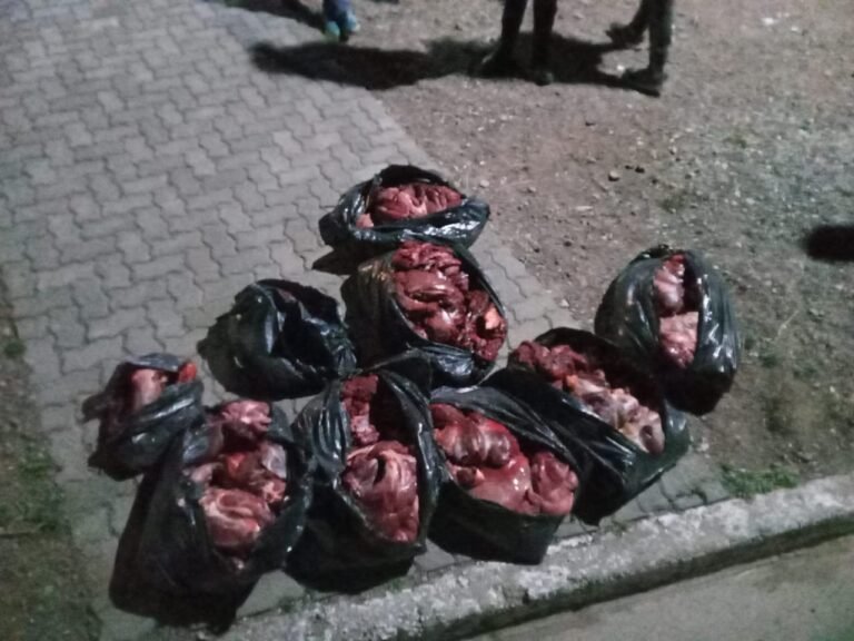 Secuestraron carne de guanaco y un arma de fuego