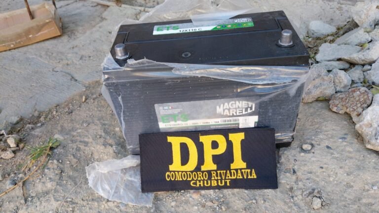 Allanamiento por el robo de una batería a plena luz del día