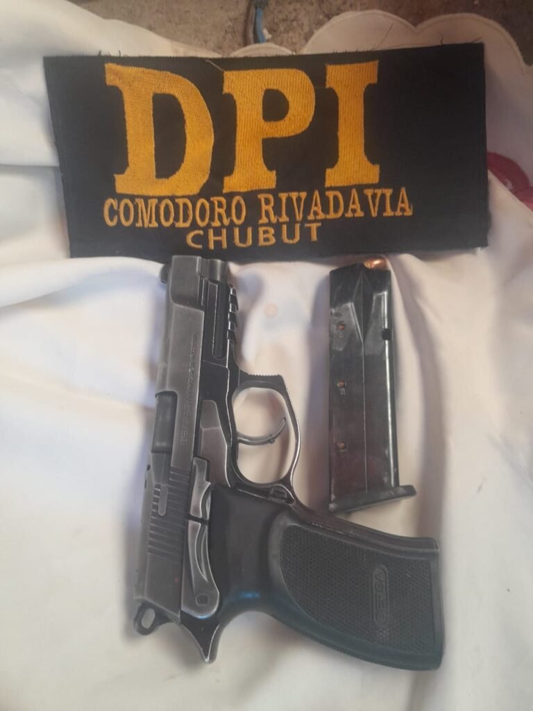 Sacaron de circulación seis armas de fuego por tenencia ilegal