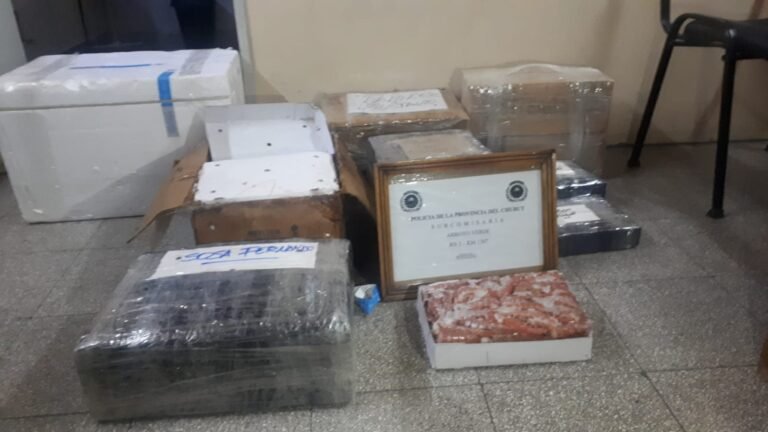 Los atraparon intentando llevar 130 kilos de langostinos a Corrientes