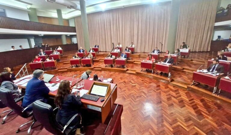 La Legislatura aprobó la ampliación de la Ficha Limpia a las condenas penales por todo tipo de delito
