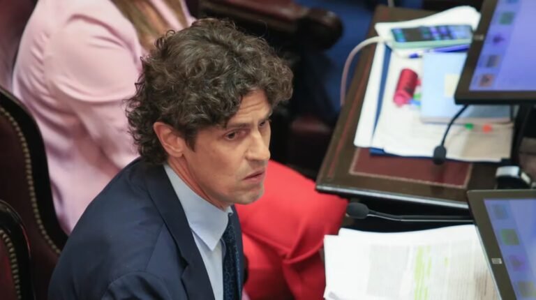 Lousteau defendió el aumento a los senadores: “Estábamos cobrando menos que un tuitero del Presidente”