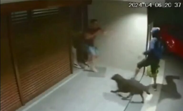 Salvó a su hijo de un violento asalto