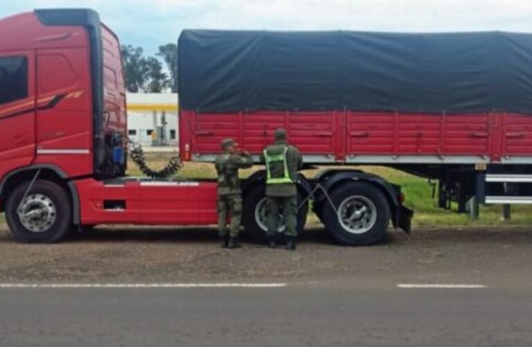 Un chofer intentó contrabandear 24 toneladas de cobre