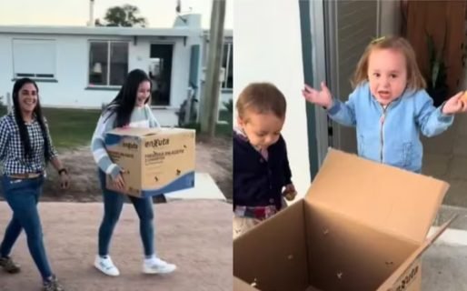 Una nena pidió un extraño regalo de cumpleaños y sus tías la decepcionaron: “Era una de juguete”