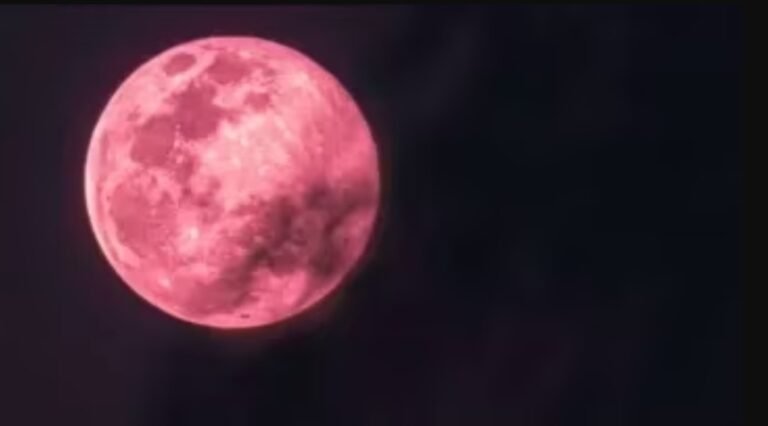 ¿Cuándo se verá la Luna llena Rosa?