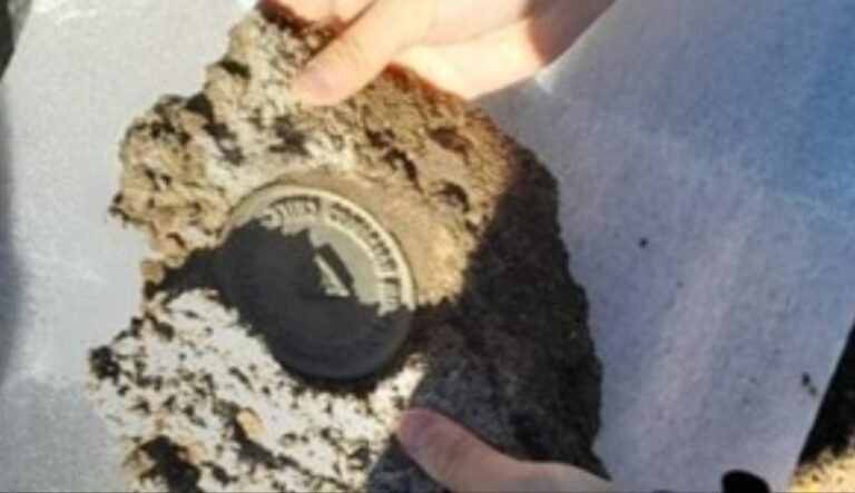 Rescataron una señal limítrofe de fines del siglo XIX en el Parque Nahuel Huapi