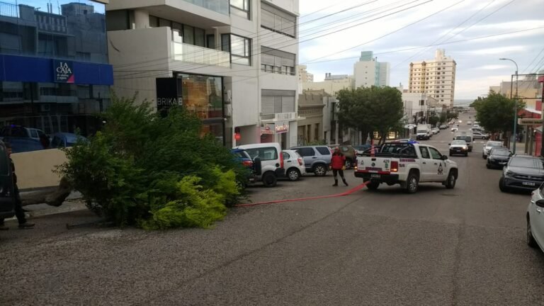 Por los fuertes vientos cayeron árboles y postes