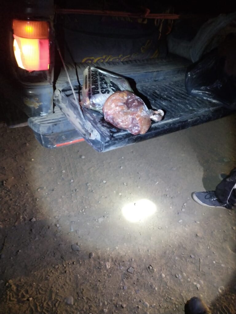 Transportaba carne faenada en su camioneta