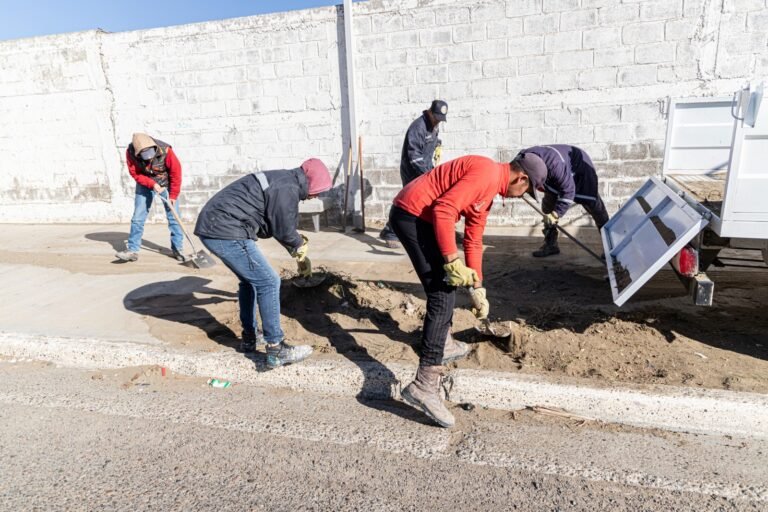 Se lleva adelante un plan de limpieza de espacios públicos
