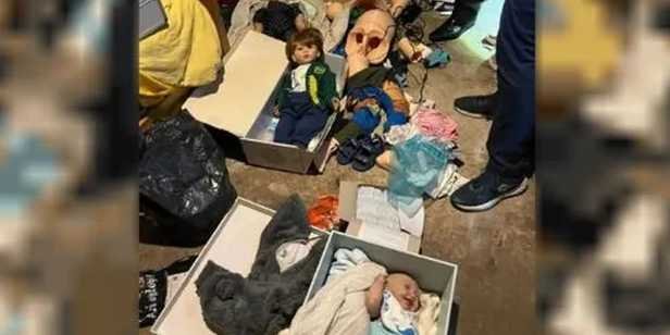 Operación Cisne Negro: capturaron al pedófilo más peligroso del país