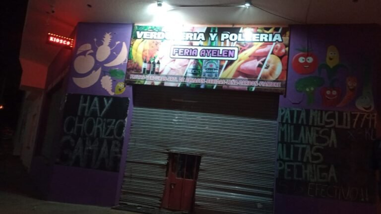 Rompieron la puerta de un comercio para robar pero llegó la policía