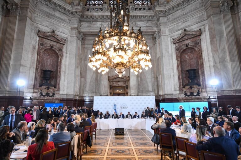 El Senado ya analiza la ley bases en un plenario de comisiones