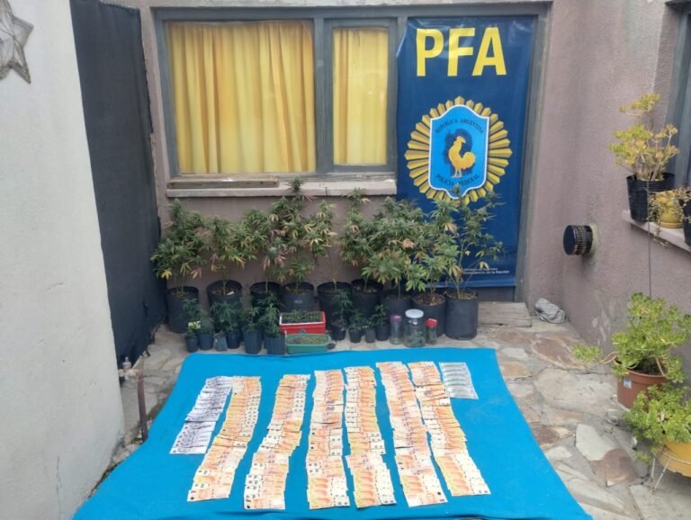 Desarticulan una red de grooming y pornografía infantil