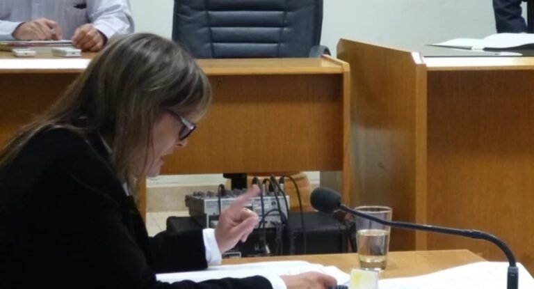 El acusado de asesinar a su madre permanecerá internado en Salud Mental por dos meses