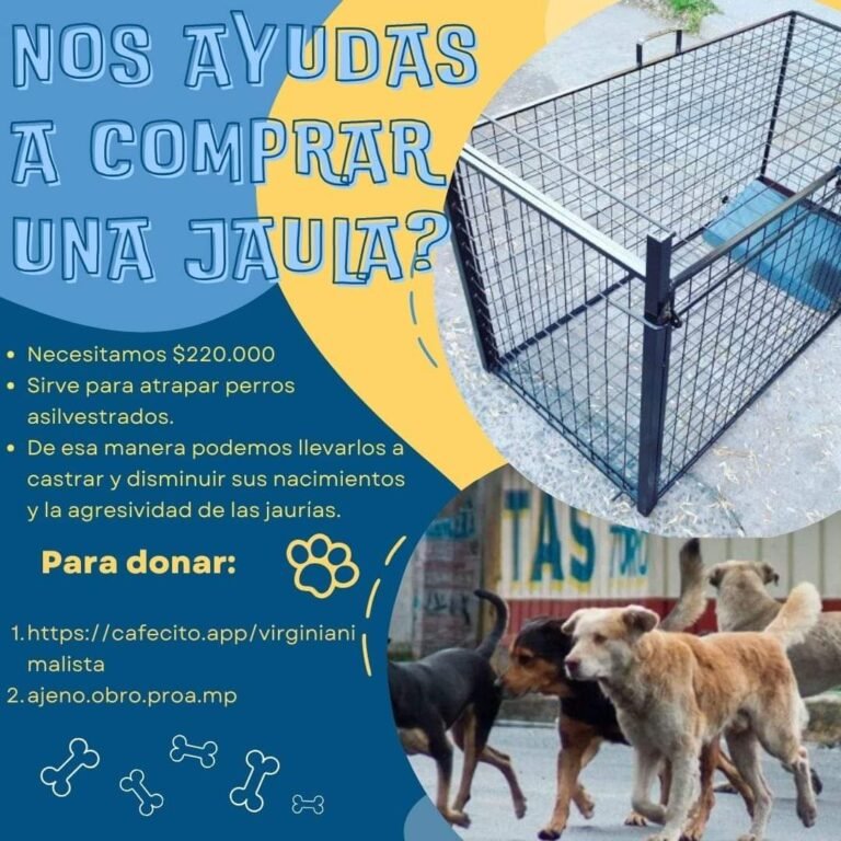 Juntan fondos para comprar una jaula y así castrar perros salvajes