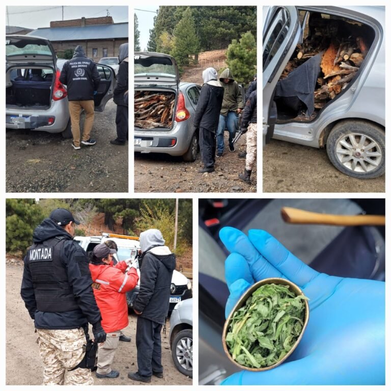 Decomisaron leña y drogas en un operativo en Esquel