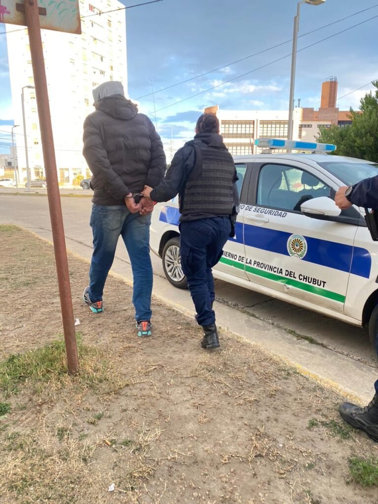 Rompió el vidrio de una camioneta y robó dos bolsos