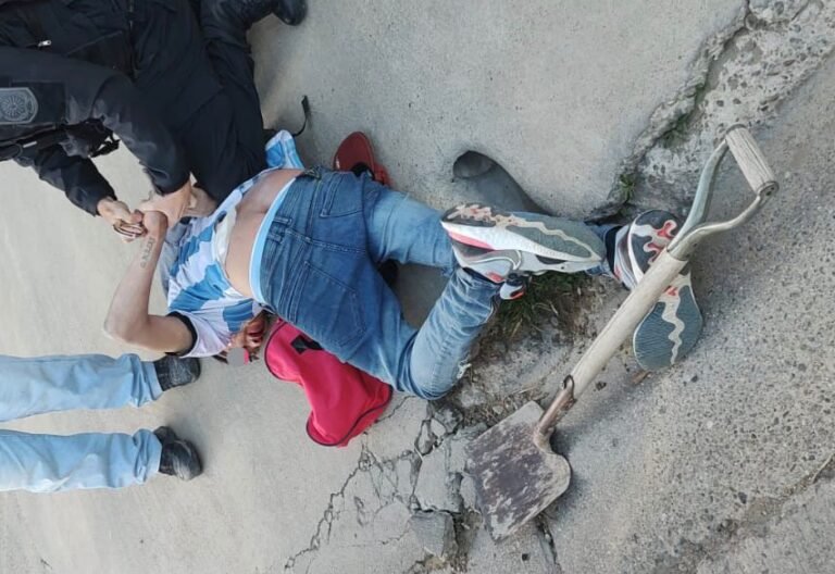 Escuchó ruidos en su patio, vio a un ladrón y lo redujo hasta que llegó la policía