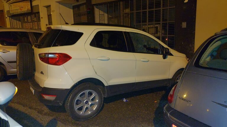 Rompieron el vidrio de un auto para robar y golpearon a un policía