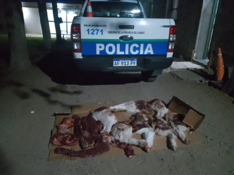 Llevaban carne de guanaco y armas de fuego