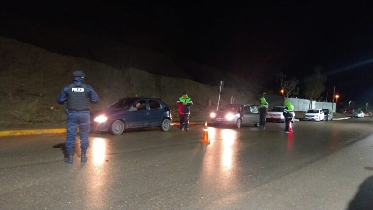 Realizaron un control en el Centro y detectaron a cuatro conductores en estado de ebriedad