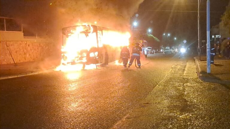 Por una falla mecánica, se incendió un colectivo en su totalidad
