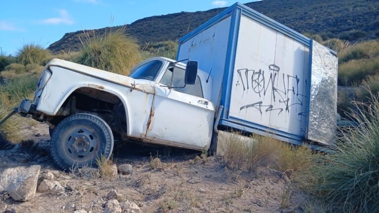 Se quedó sin frenos y cayó a un barranco