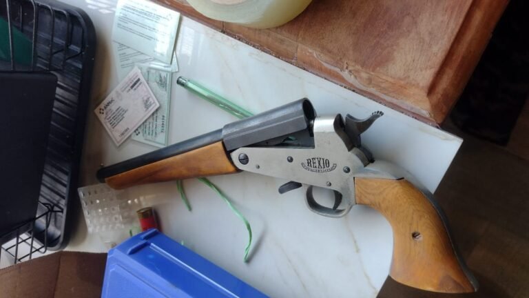 Secuestraron una gran cantidad de armas en un allanamiento