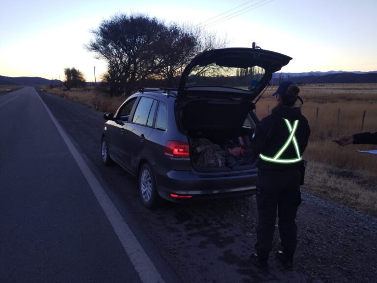 Transportaba dos guanacos y un ñandú sin vida en el baúl del auto