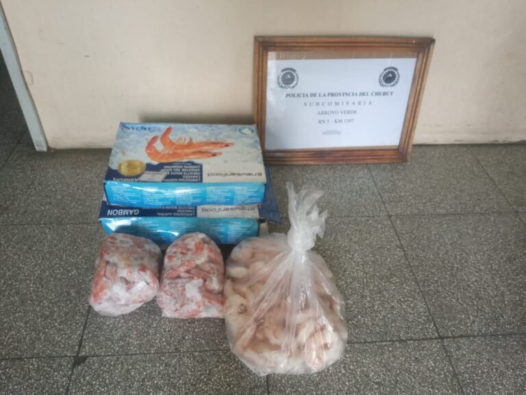 Secuestraron 6 kilos de langostinos congelados en un control en Ruta 3