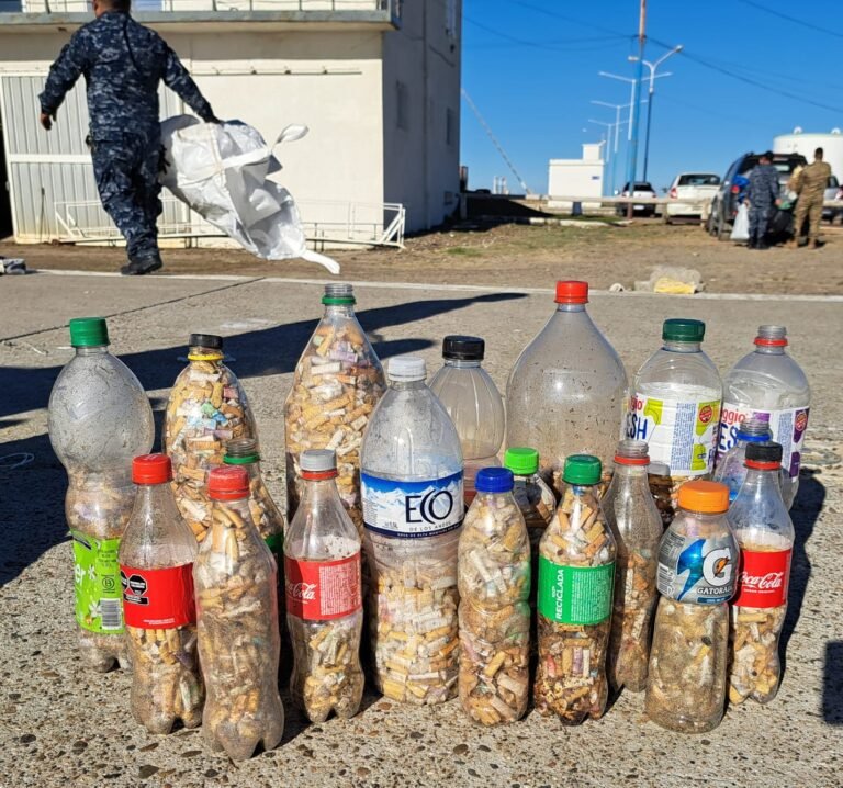 200 personas limpiaron la playa Costanera en conmemoración del Día Mundial del Reciclaje y del Día de la Armada Argentina