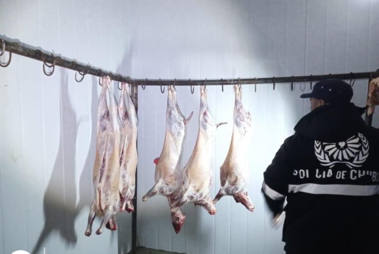 Lo atraparon con animales faenados en la camioneta