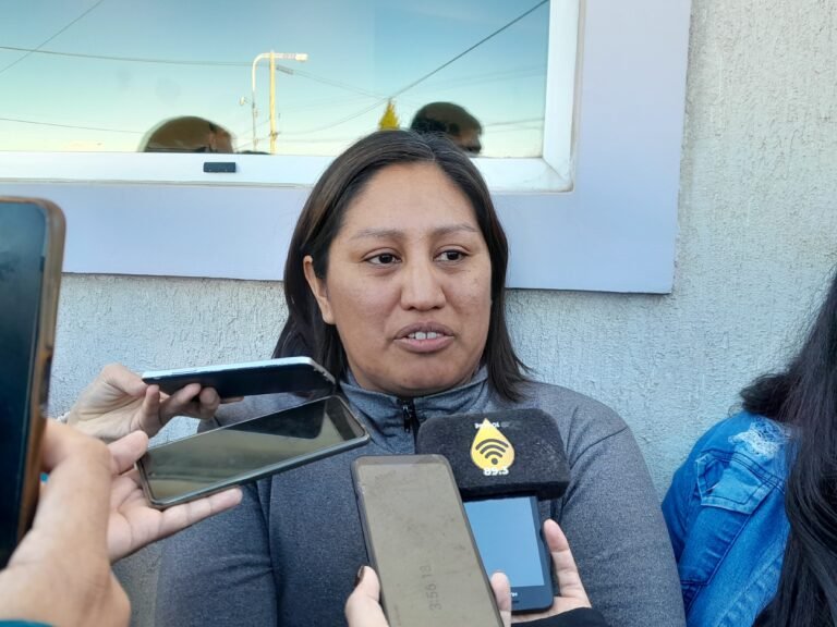 La lucha de Noelia Alderete: dolor, deudas y la necesidad urgente de un empleo