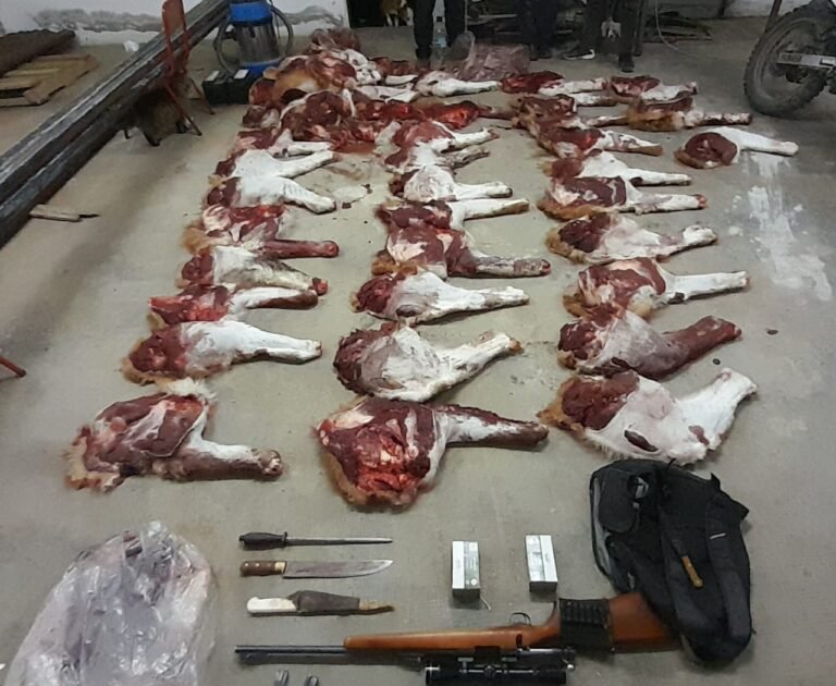 Secuestraron un arma y gran cantidad de carne de guanaco