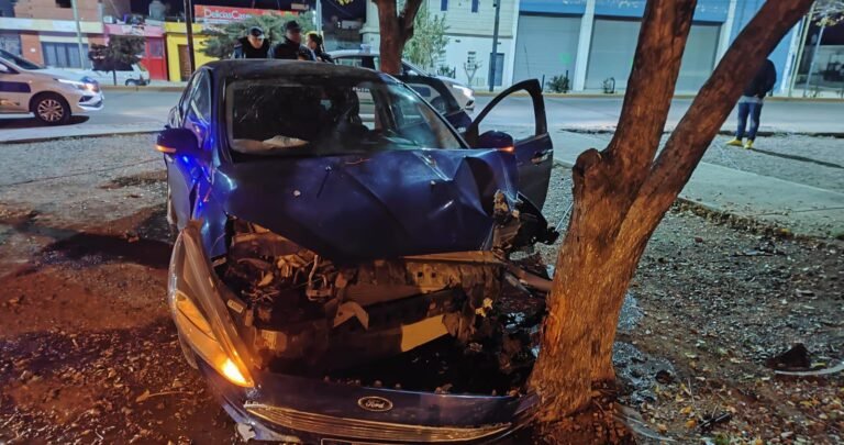 Manejaba borracho, quiso evadir un control y chocó contra el móvil policial y un árbol 