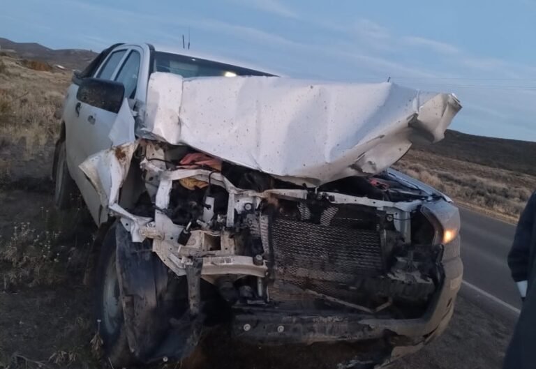 Chocó contra un caballo en la Ruta 39