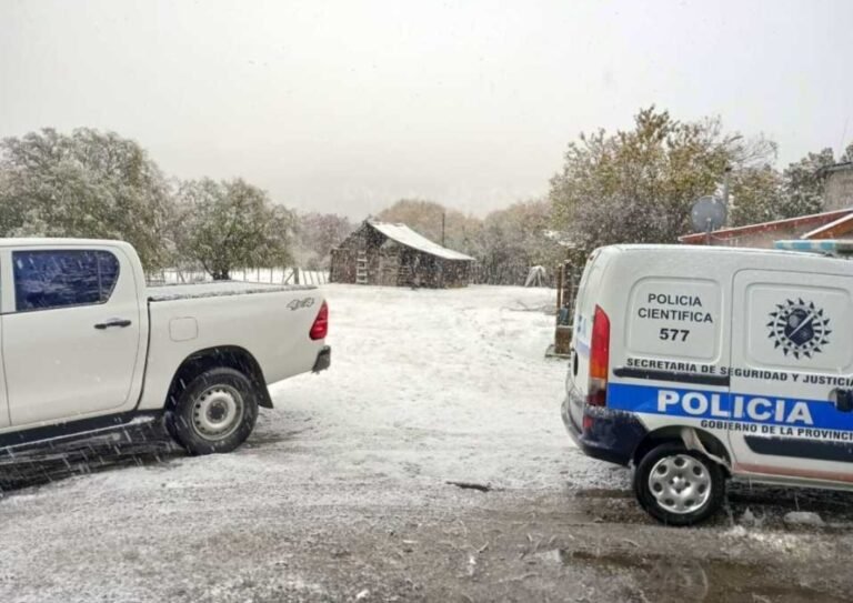 Allanamientos con resultados positivos por amenazas con arma de fuego y caza furtiva