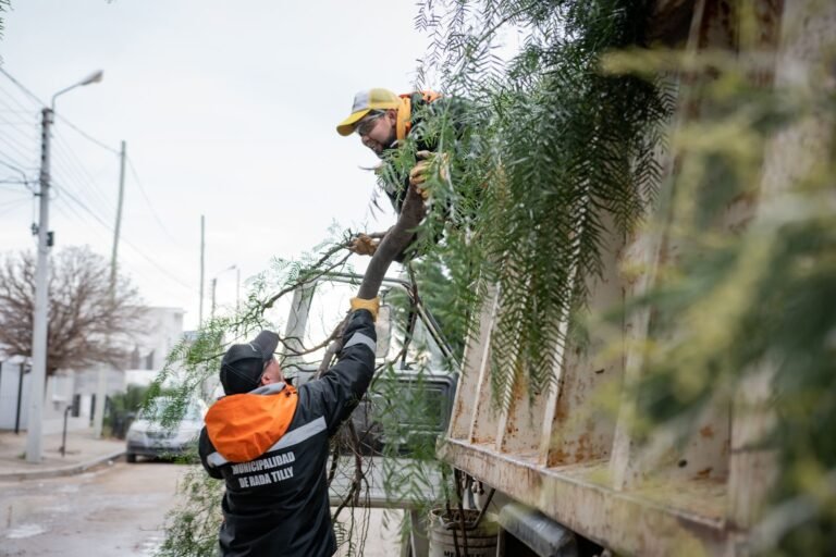Crearán un registro de podadores para mejorar la gestión de los residuos verdes