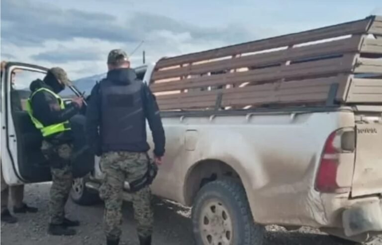 Decomisaron 4 ovinos faenados en operativo contra abigeato